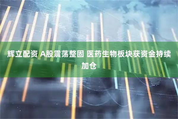 辉立配资 A股震荡整固 医药生物板块获资金持续加仓