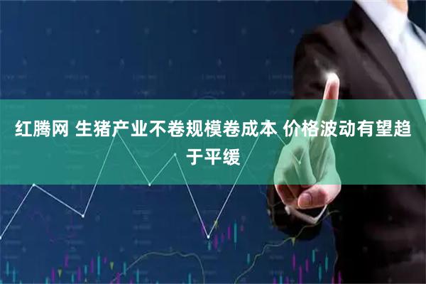 红腾网 生猪产业不卷规模卷成本 价格波动有望趋于平缓