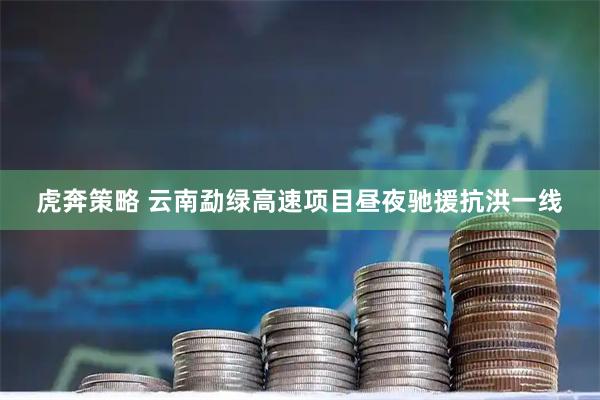虎奔策略 云南勐绿高速项目昼夜驰援抗洪一线