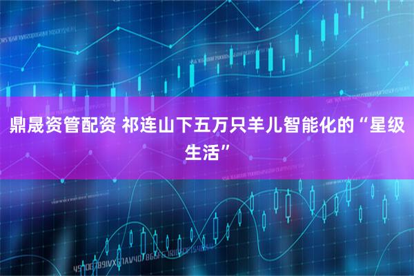 鼎晟资管配资 祁连山下五万只羊儿智能化的“星级生活”