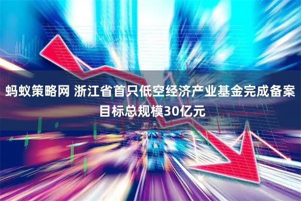 蚂蚁策略网 浙江省首只低空经济产业基金完成备案 目标总规模30亿元